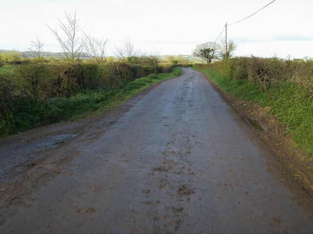 A rural road with puddles, surrounded by fields and hedgerows.