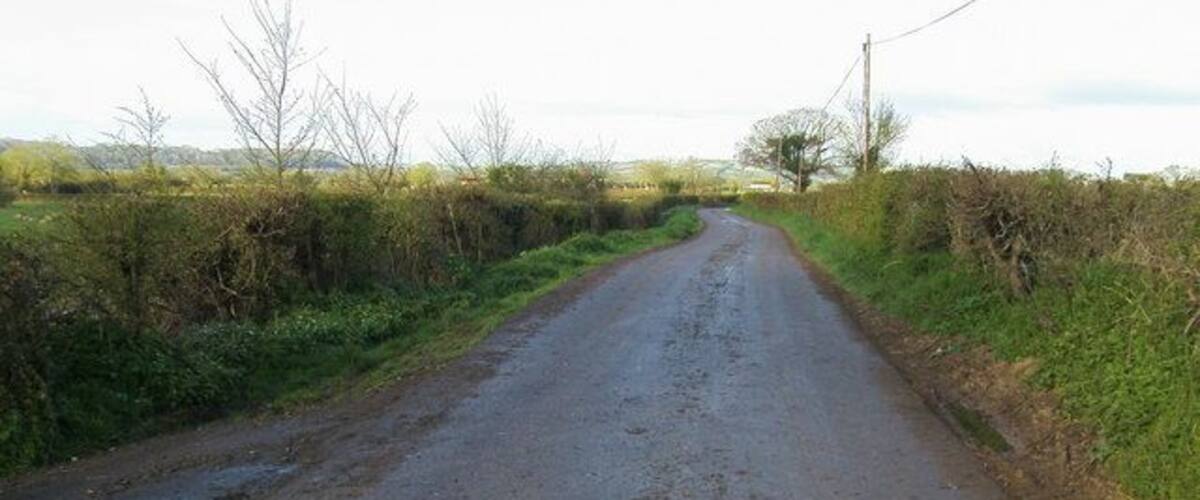 A rural road with puddles, surrounded by fields and hedgerows.