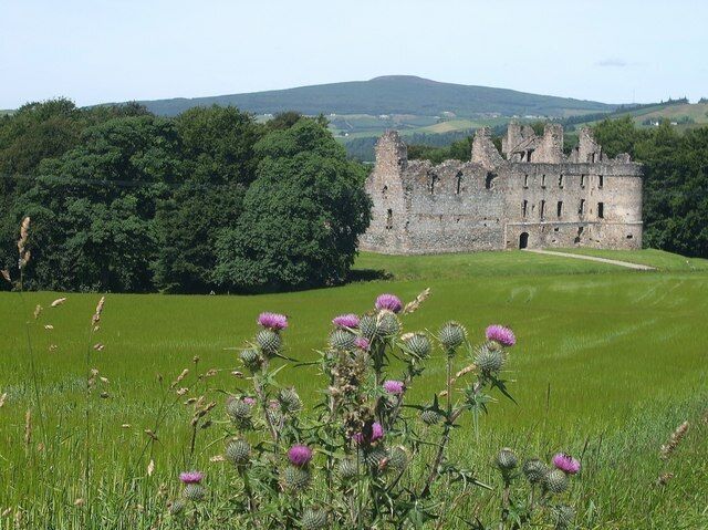 A historic castle in a lush green field with purple thistles in the foreground.