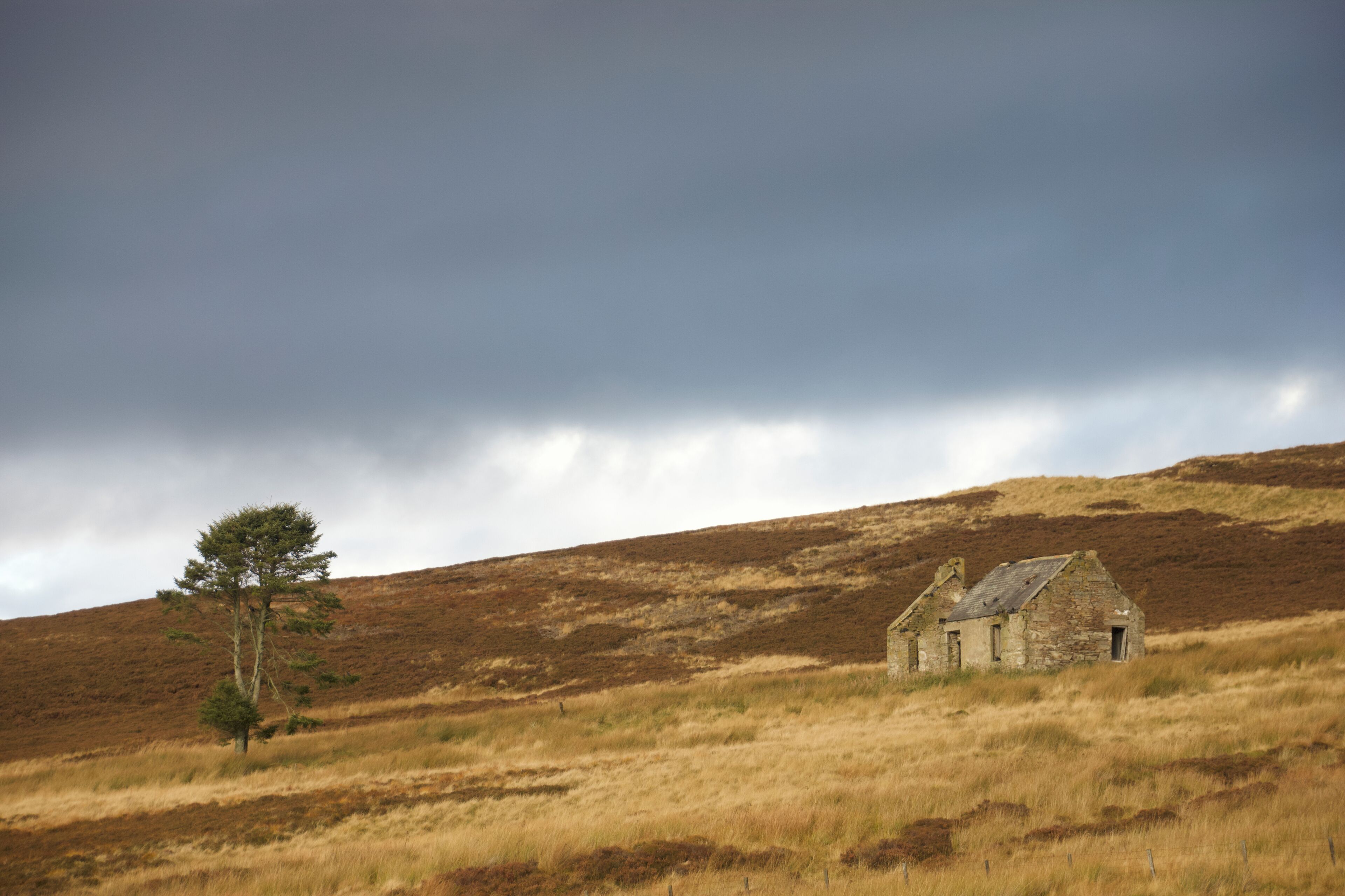 This is where my sister lives, its a great place for walking and exploring. On one of my walks, I found this abandoned house in the middle of a field amongst sheep. A very peaceful, but windy and chilly walk.

#LifeAtExpediaG​roup