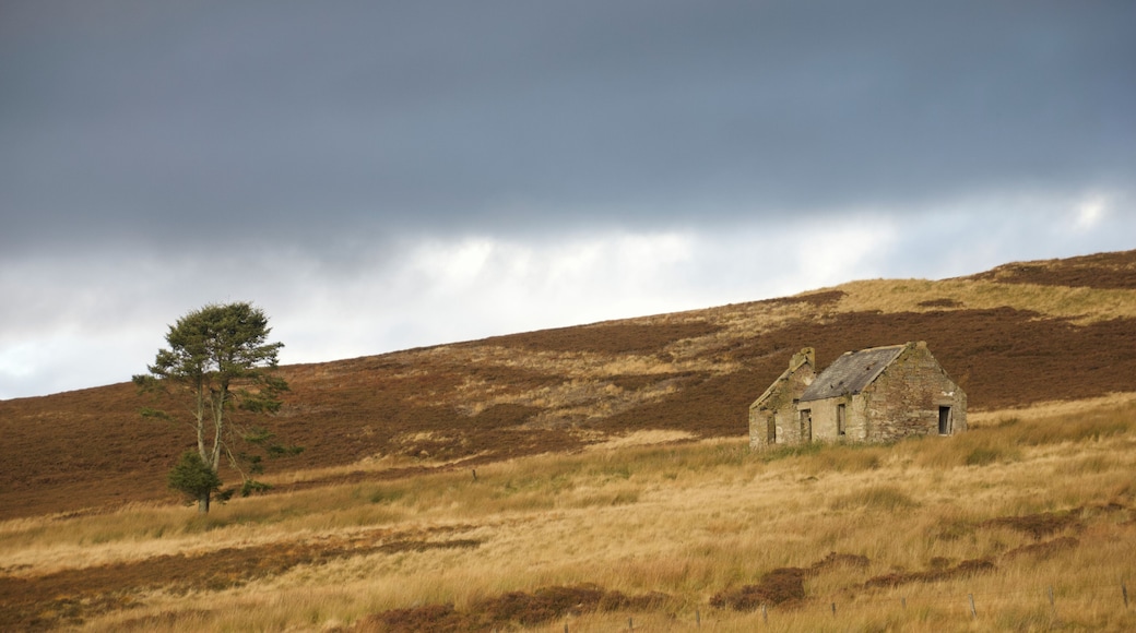 This is where my sister lives, its a great place for walking and exploring. On one of my walks, I found this abandoned house in the middle of a field amongst sheep. A very peaceful, but windy and chilly walk.
#LifeAtExpediaGroup