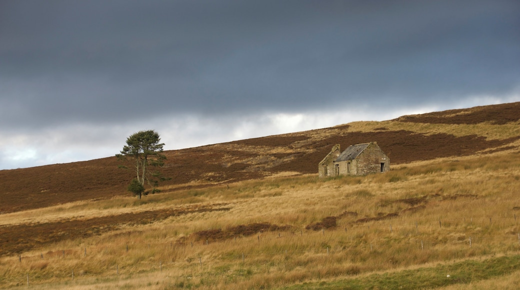 A country walk in Dufftown, Scotland before the storm arrived. #LifeAtExpediaGroup