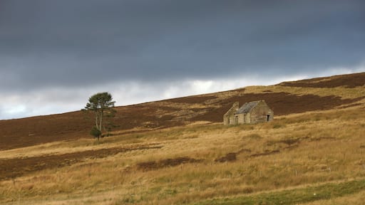 A country walk in Dufftown, Scotland before the storm arrived. #LifeAtExpediaGroup