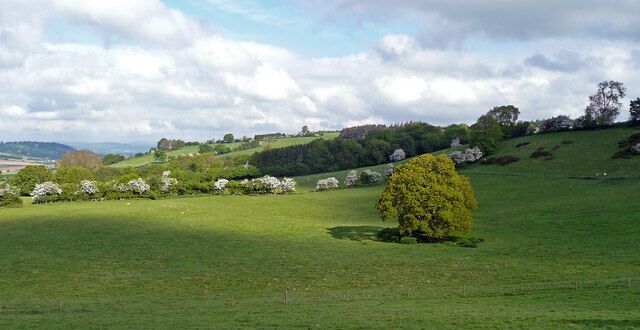Golden Valley scenery View north-west of the Dorstone to Bredwardine road.