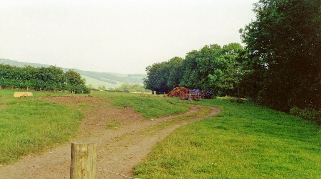 Site of former Dorstone station, 1994. View SE, towards Pontrilas: ex-GWR Pontrilas - Hay branch, also known as the Golden Valley line. The station was closed when the passenger service ceased from 12/12/41, but remained for goods until 2/2/53 and the line was not abandoned until 6/57.