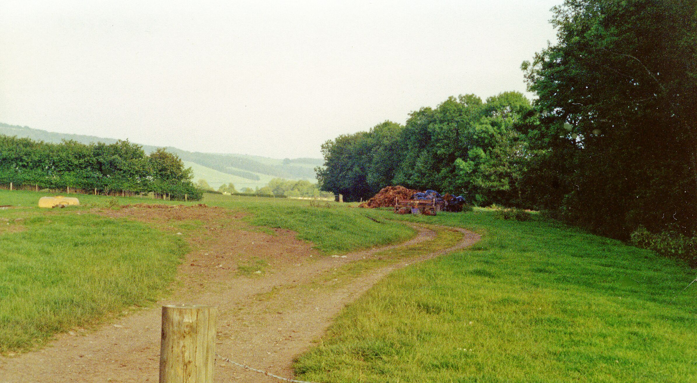 A rural landscape with a dirt path, green fields, trees, and a pile of hay.