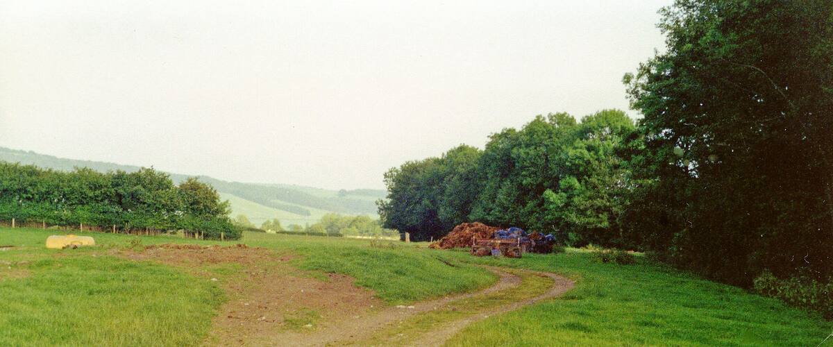 A rural landscape with a dirt path, green fields, trees, and a pile of hay.