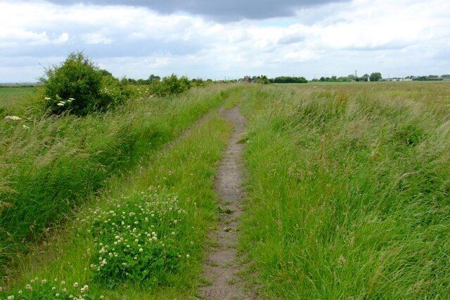 South Ing Drove View West along South Ing Drove, part of the route of the Brown Fen Trail.