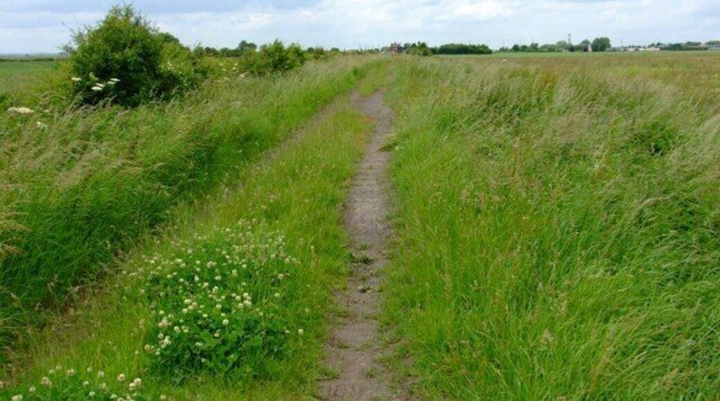South Ing Drove View West along South Ing Drove, part of the route of the Brown Fen Trail.