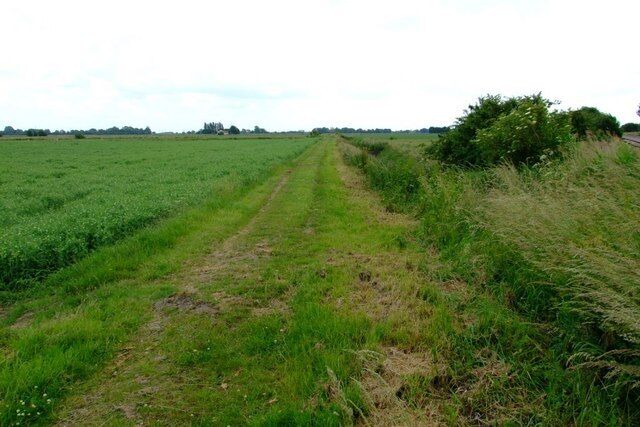 Along the Brown Fen Trail. The Brown Fen Trail follows South Ing Drove from Haws Lane to Malting Lane at Donington.