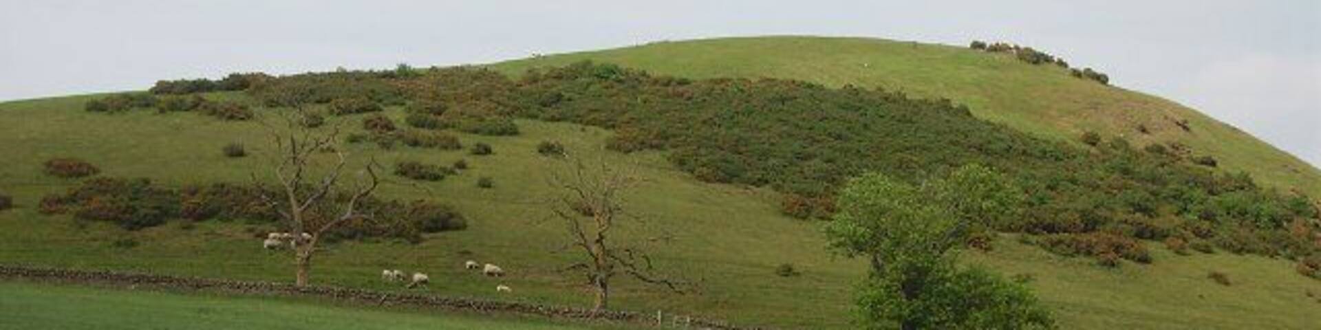 Blyth Hill. Colour stating to go from the hill grass as the dry spell continues. 308m hill above a distinctive gap in the hills between Blythe Bridge and Dolphinton.