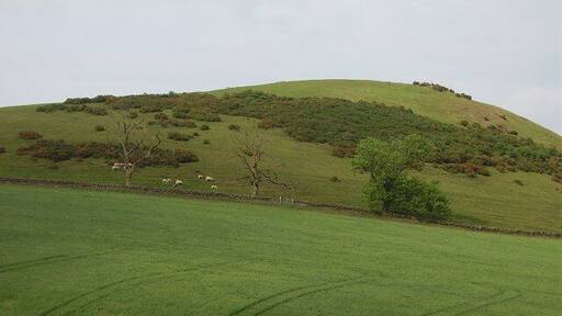 Blyth Hill. Colour stating to go from the hill grass as the dry spell continues. 308m hill above a distinctive gap in the hills between Blythe Bridge and Dolphinton.