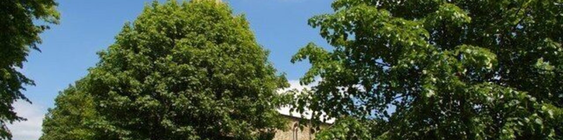 View northwest in Church Lane, Dodington, Cambridgeshire, showing trees in St Mary's parish churchyard with partsof the church visible beyond