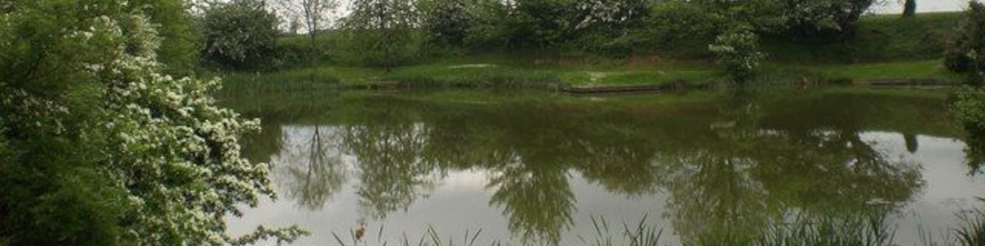 Fish pond, Docking Angling Club This is just one of many ponds in Docking. I passed five on a brief walk though and there are more than that to be seen on the map. Interestingly as this local genealogical site http://www.genealogysource.com/docking.htm informs one, it used to be called Dry Docking because of the shortage of drinking water in this the highest point of Norfolk.