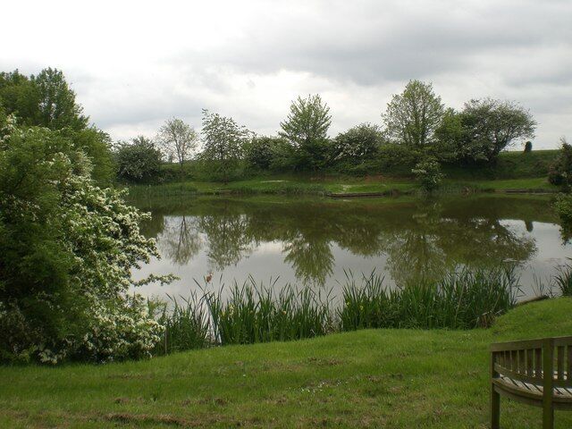 A pond surrounded by trees and grass.
