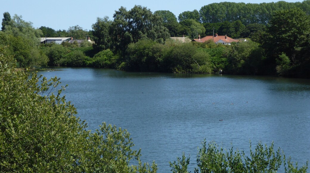 Broome Heath is a Local Nature Reserve near Ditchingham in Norfolk.