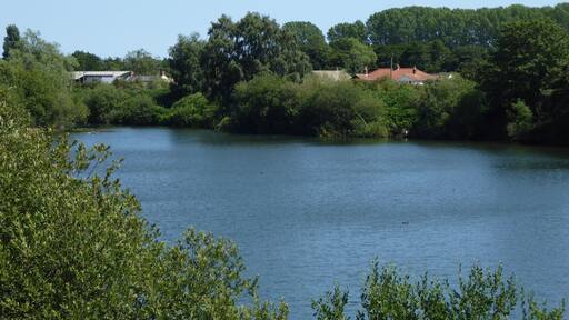 Broome Heath is a Local Nature Reserve near Ditchingham in Norfolk.