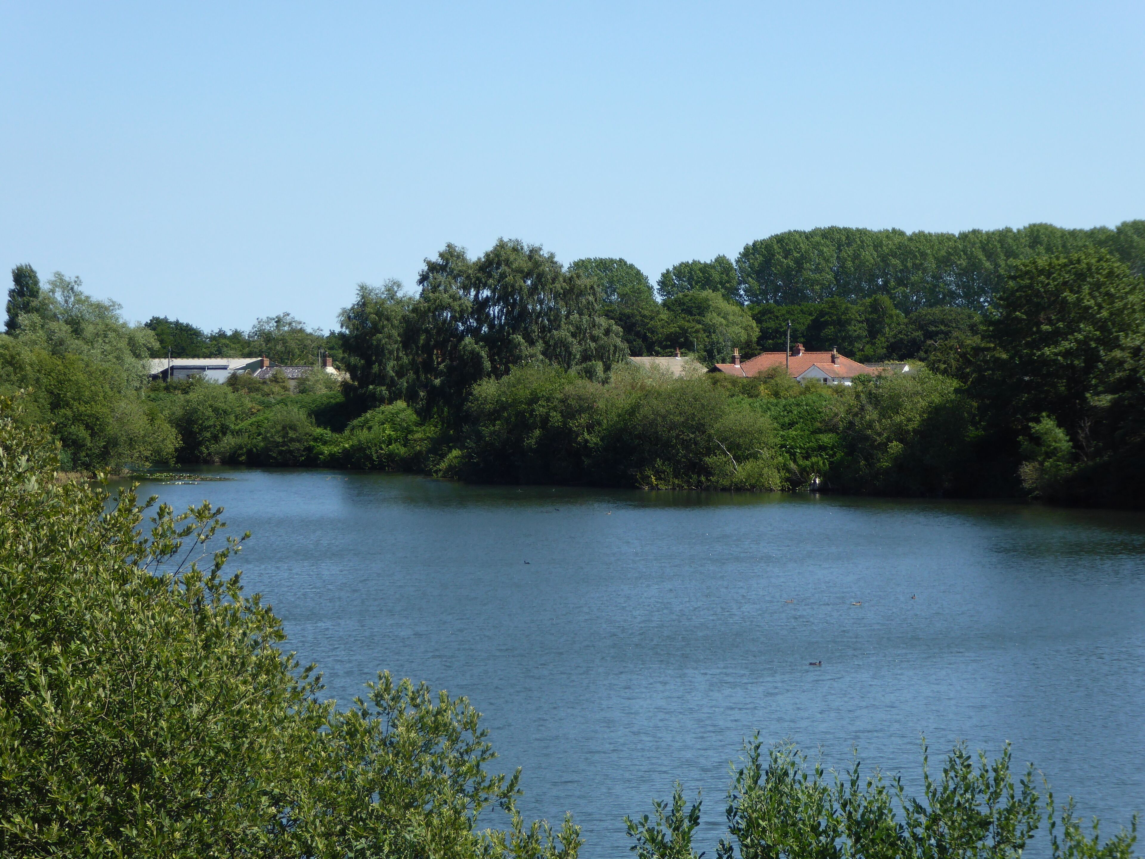 A calm river surrounded by dense greenery and houses with red roofs.
