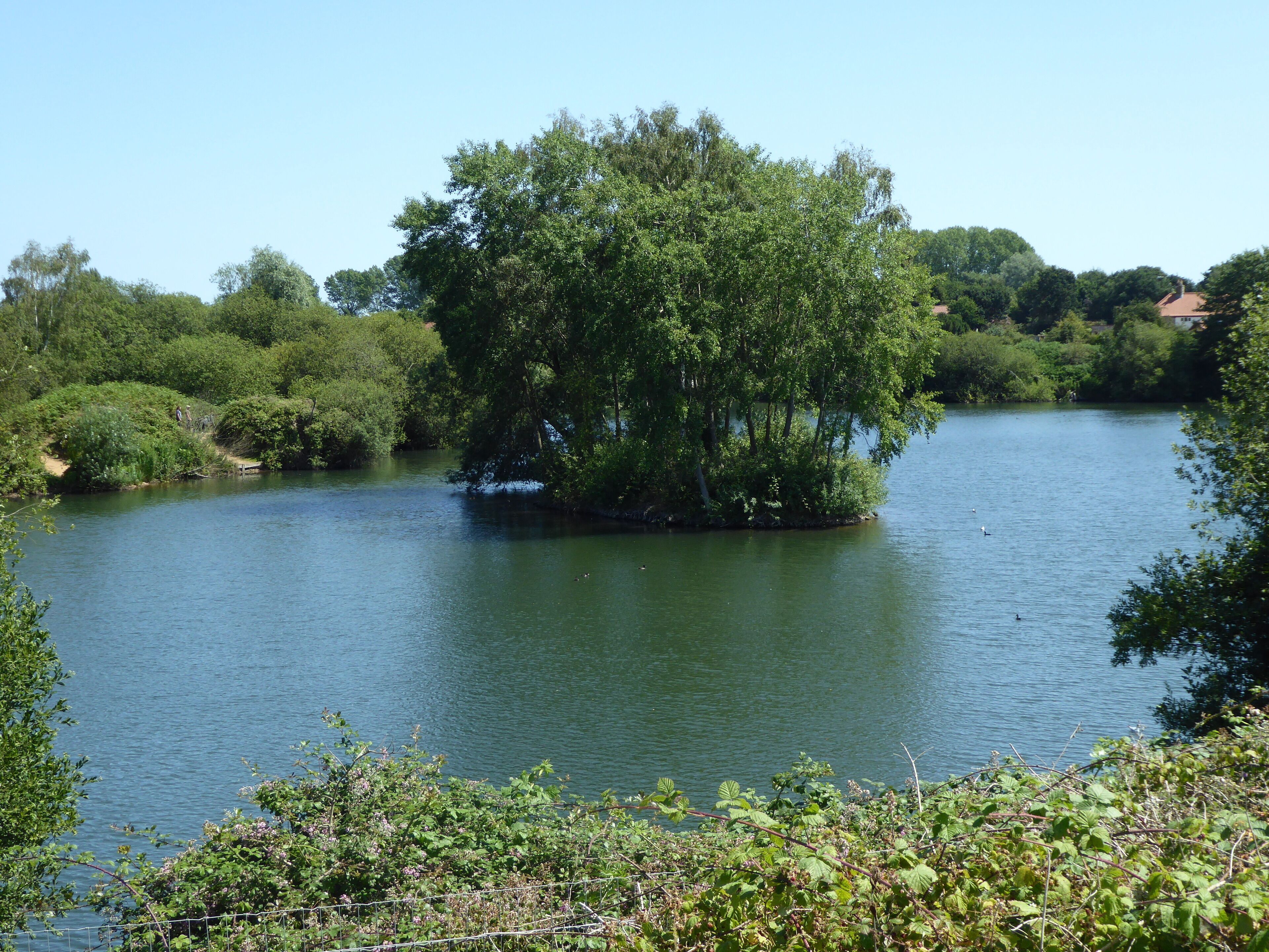 Broome Heath is a Local Nature Reserve near Ditchingham in Norfolk.