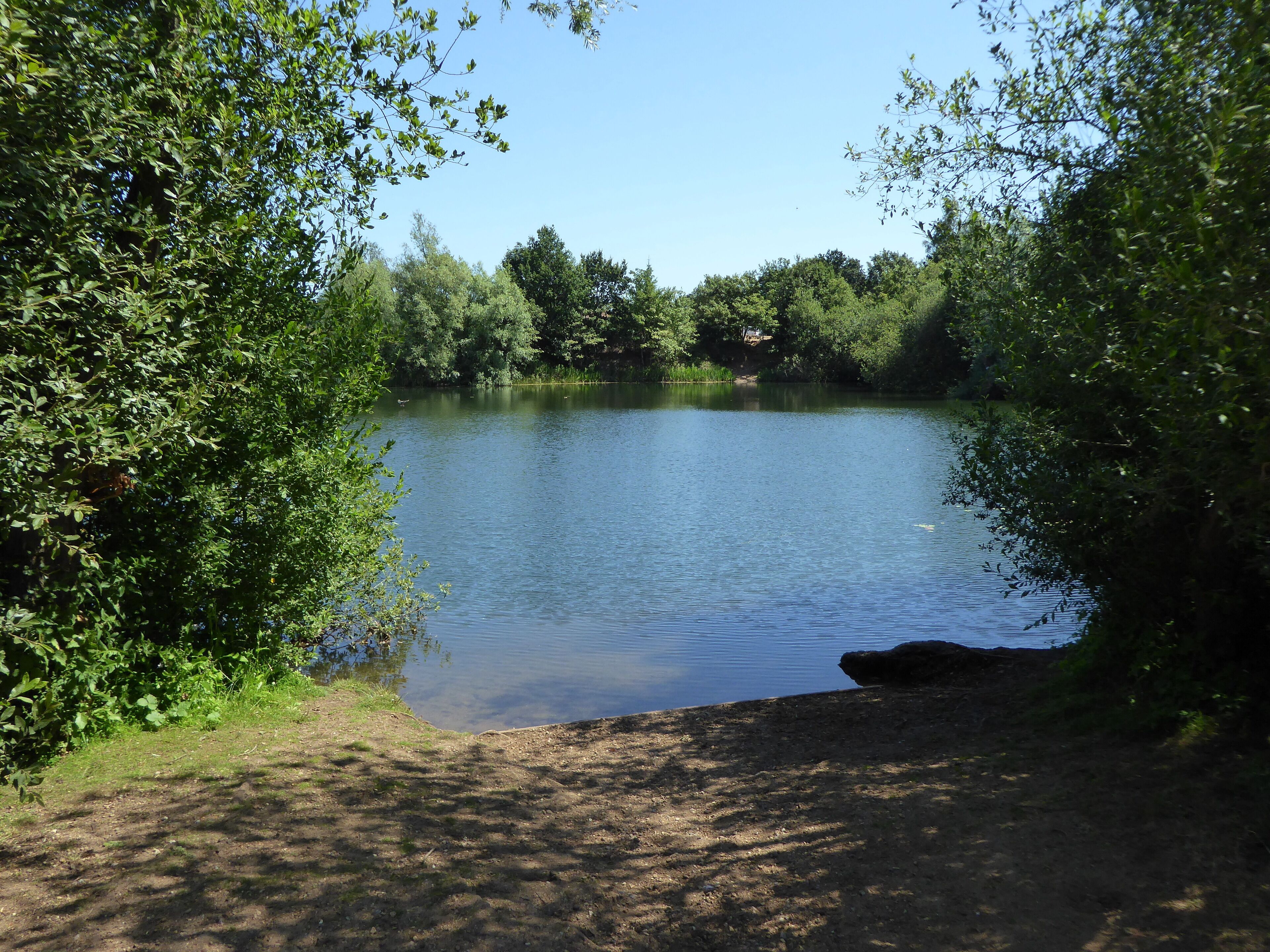 Broome Heath is a Local Nature Reserve near Ditchingham in Norfolk.