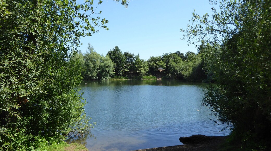 Broome Heath is a Local Nature Reserve near Ditchingham in Norfolk.