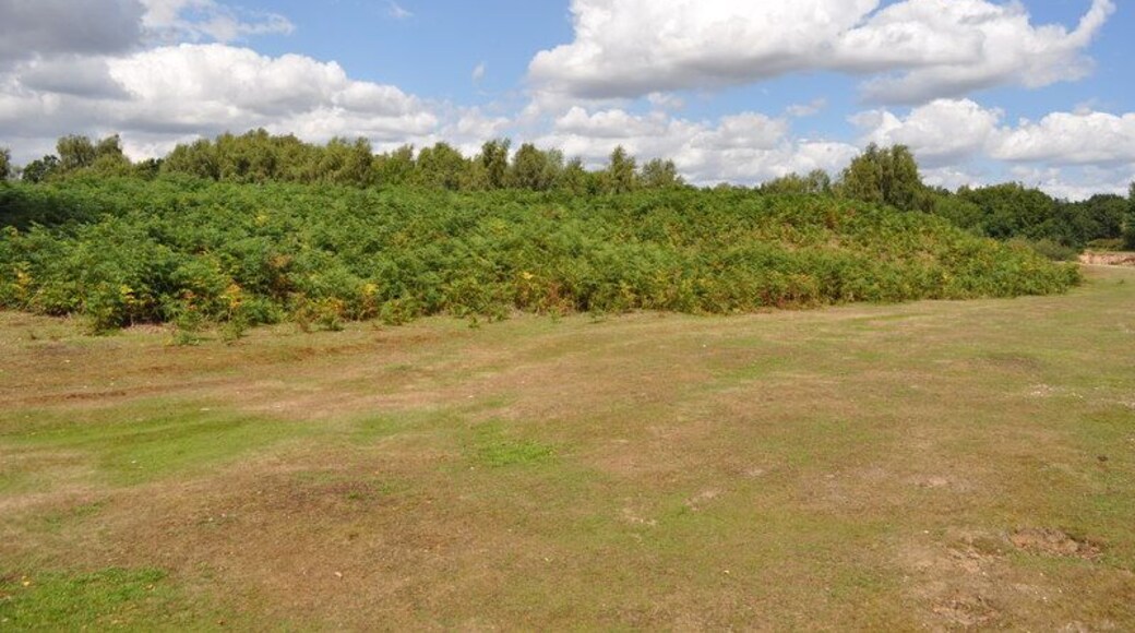 Broome Heath Long Barrow, near to Broome, Norfolk, Great Britain. A view of one of the only preserved long barrows in Norfolk.
