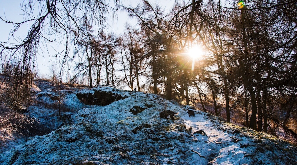 A beautiful birthday walk