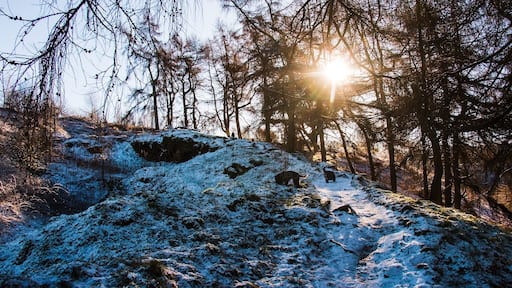 A beautiful birthday walk