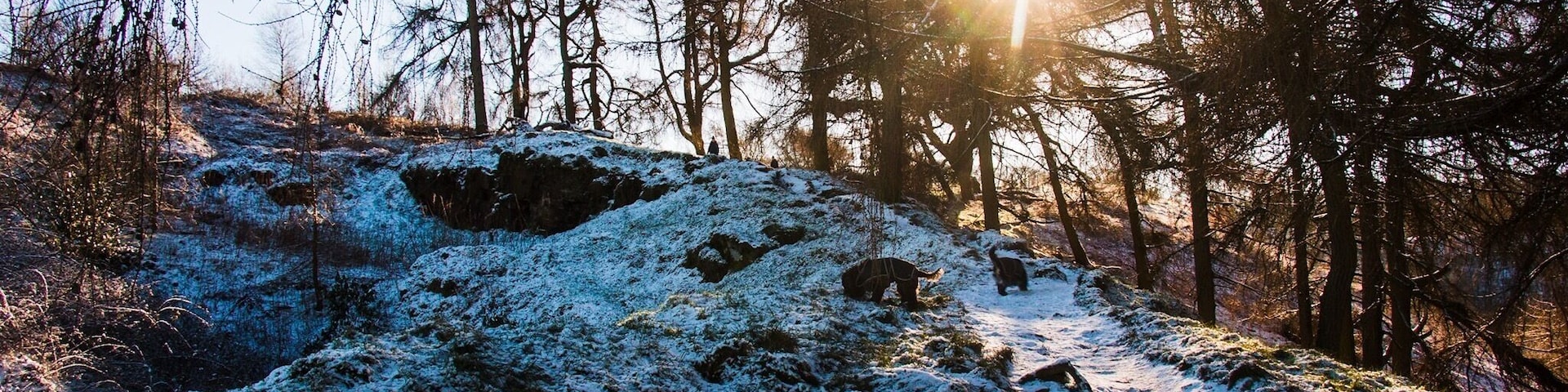 A beautiful birthday walk