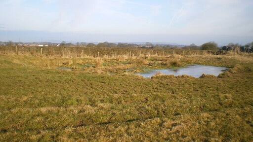 Dew pond on Mount Pleasant Looking northwest over Cellarhead - the twin wind turbines in the village should be just about discernible in the centre of the picture.