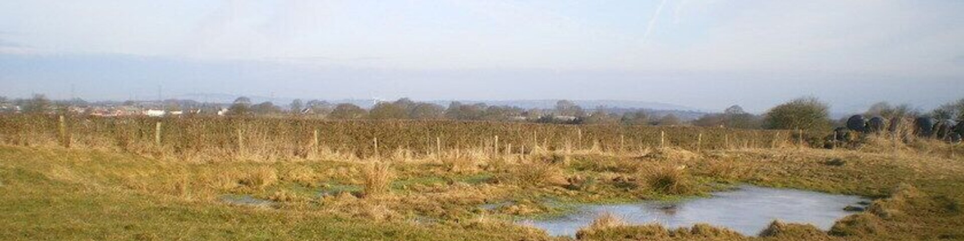 A grassy field with a small pond and distant buildings.