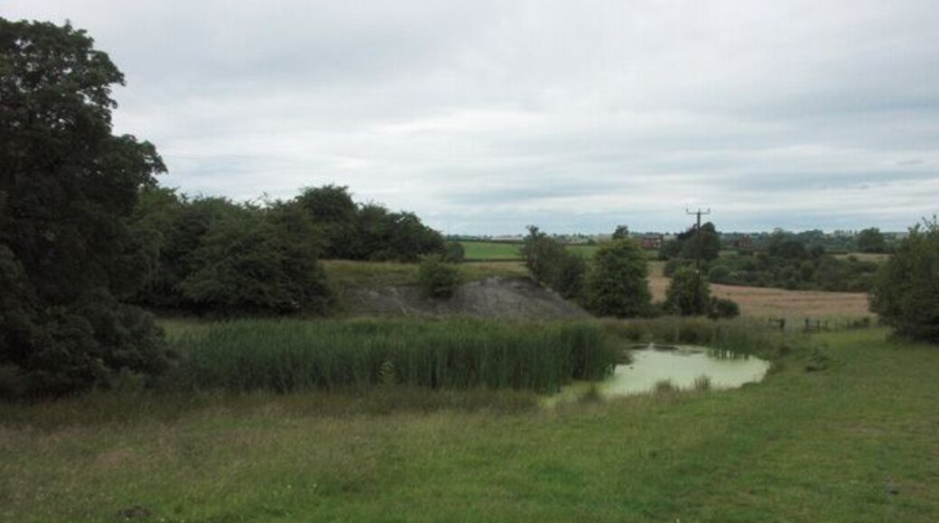 Overgrown pond near Dilhorne This small pond is beside the crossing of several footpaths. It may have been connected with long-closed Blake Hall Colliery which was nearby.