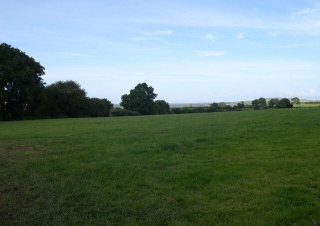 Fields abive Nant Rhyd-y-beirdd