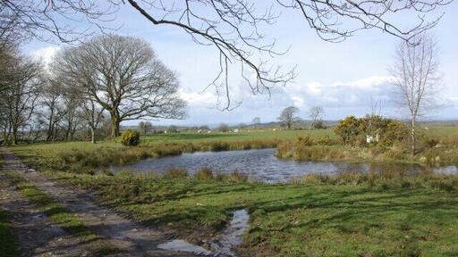 Pond north of Dihewyd Small pond just off the B4339; a sign here makes it clear that the pond is private property.