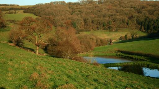 Small lakes. Lakes and woodland near the hamlet of Lower Kilcot,in the southern Cotswolds.