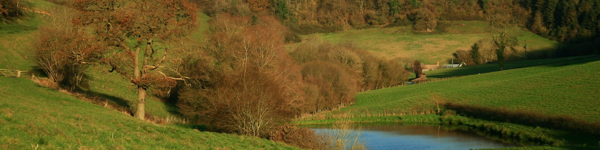 A lush green valley with a small pond, rolling hills, and a dense forest in the background.