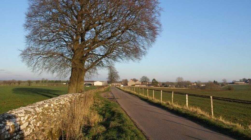 Approaching Tresham The road from Alderley passes a pair of beech trees, warm in the winter afternoon sun. The village of Tresham, in the distance, is in ST7991.