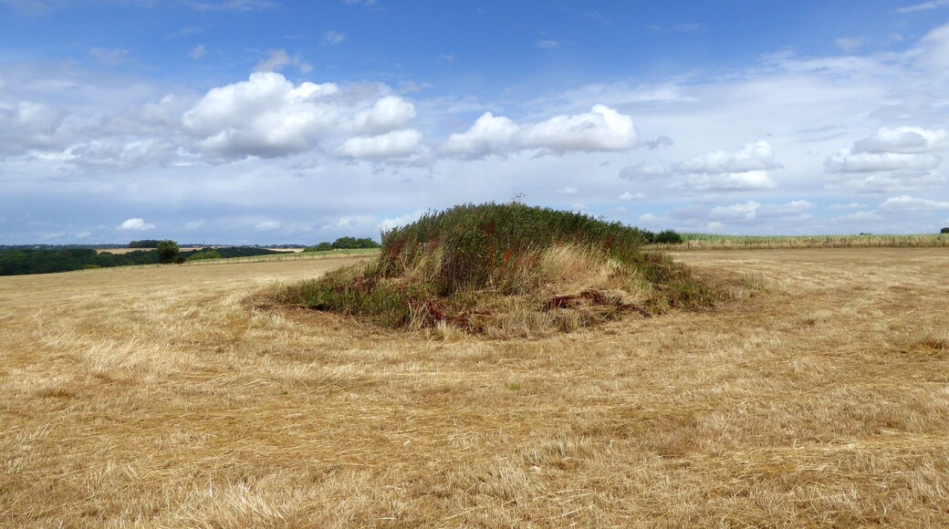 The southwestern end of the early neolithic Starveall Long Barrow in Gloucestershire. This is a photo of listed building number 1002473.