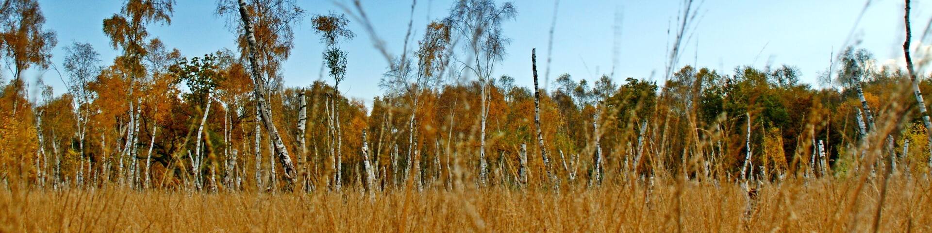 This is not Africa. Just 2 miles from Lynn