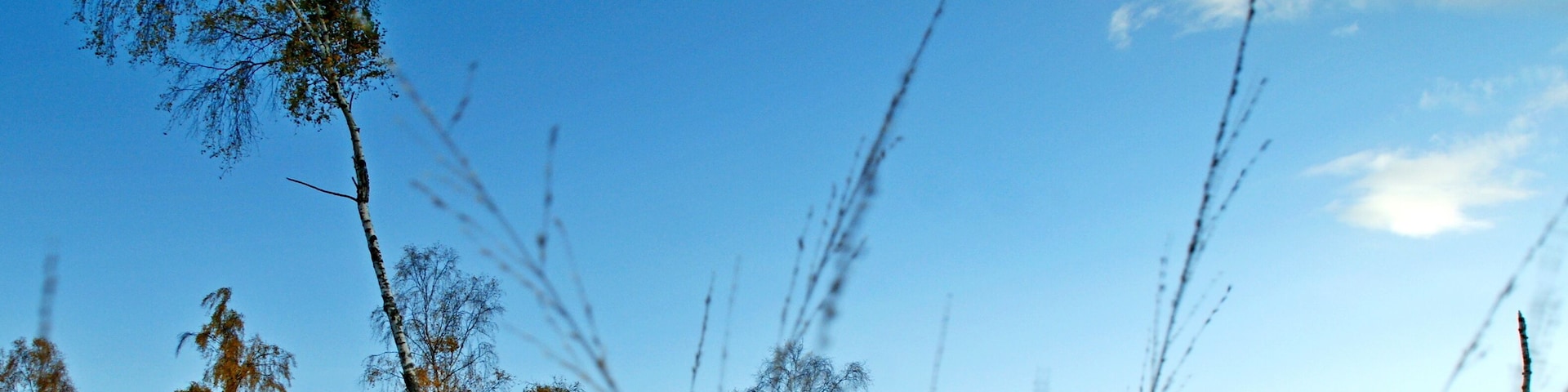 This is not Africa. Just 2 miles from Lynn