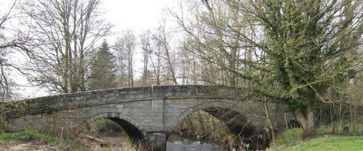 A stone bridge over a river with grassy banks and trees in the background.