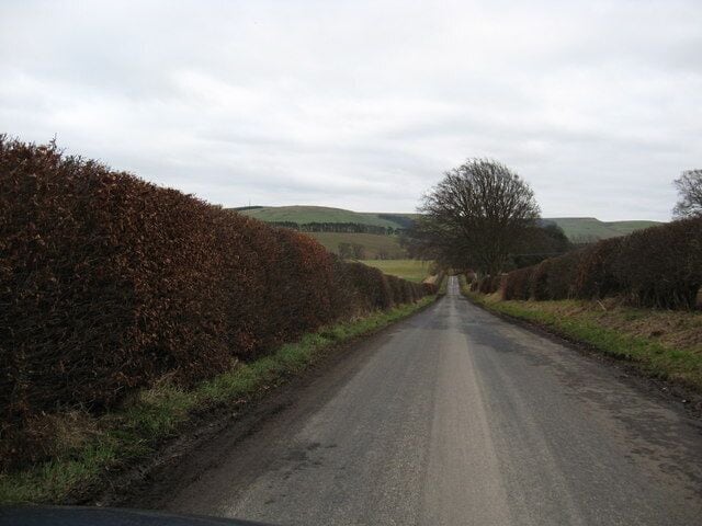 Uma estrada rural ladeada por sebes e colinas ondulantes ao longe.