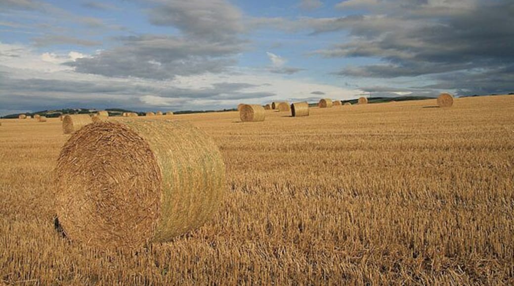 Another stubble field with bales At Highlanders' Knowe to the northeast of Denholm. Viewed from the edge of the square.