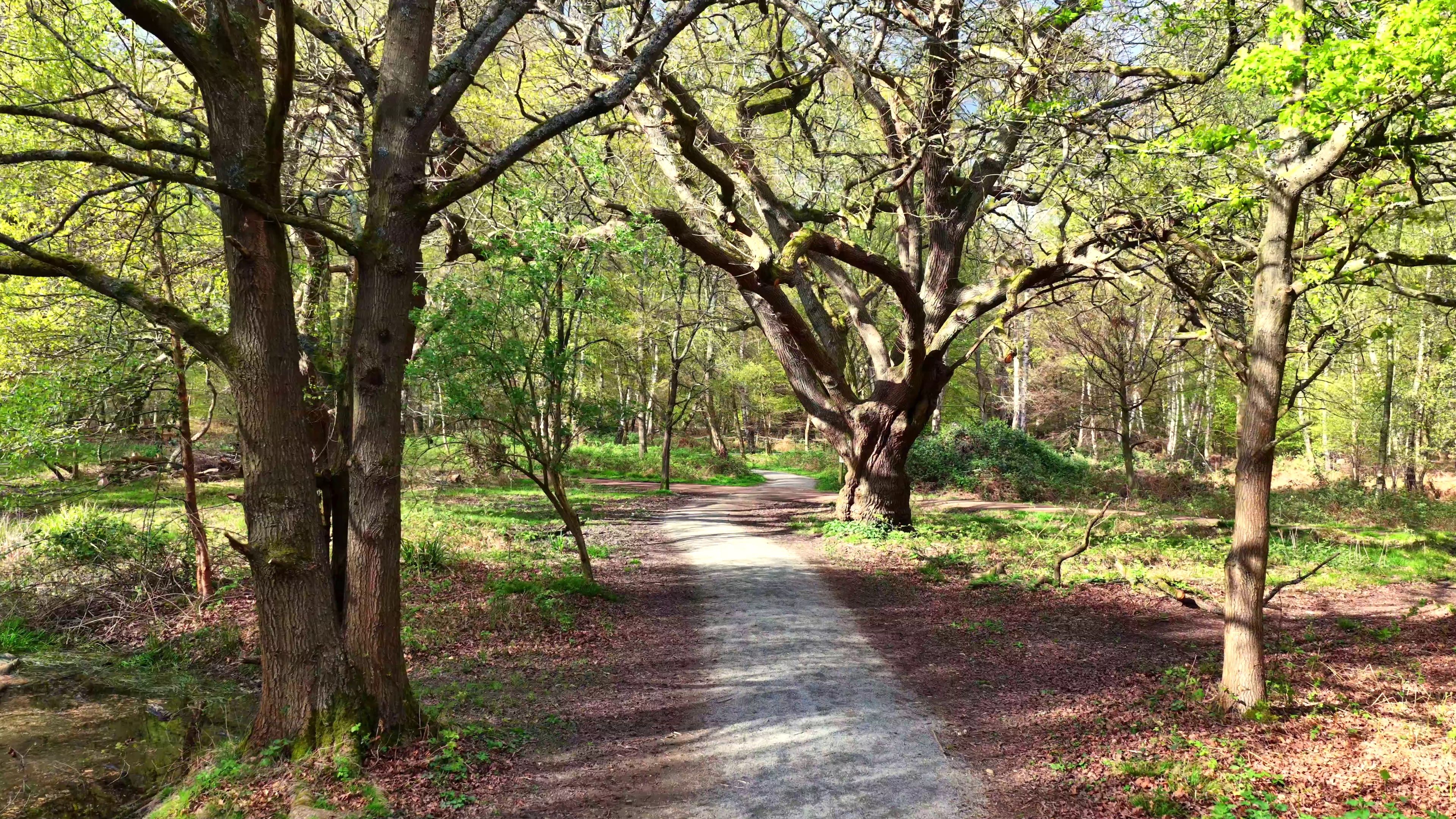 Debden