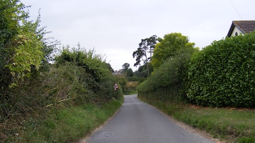 Low Road, Darsham Looking towards Darsham