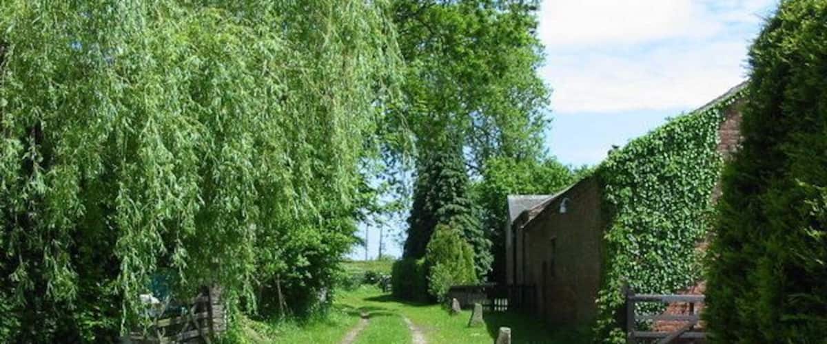 Grove Farm. The entrance to Grove Farm at Hollington Grove.