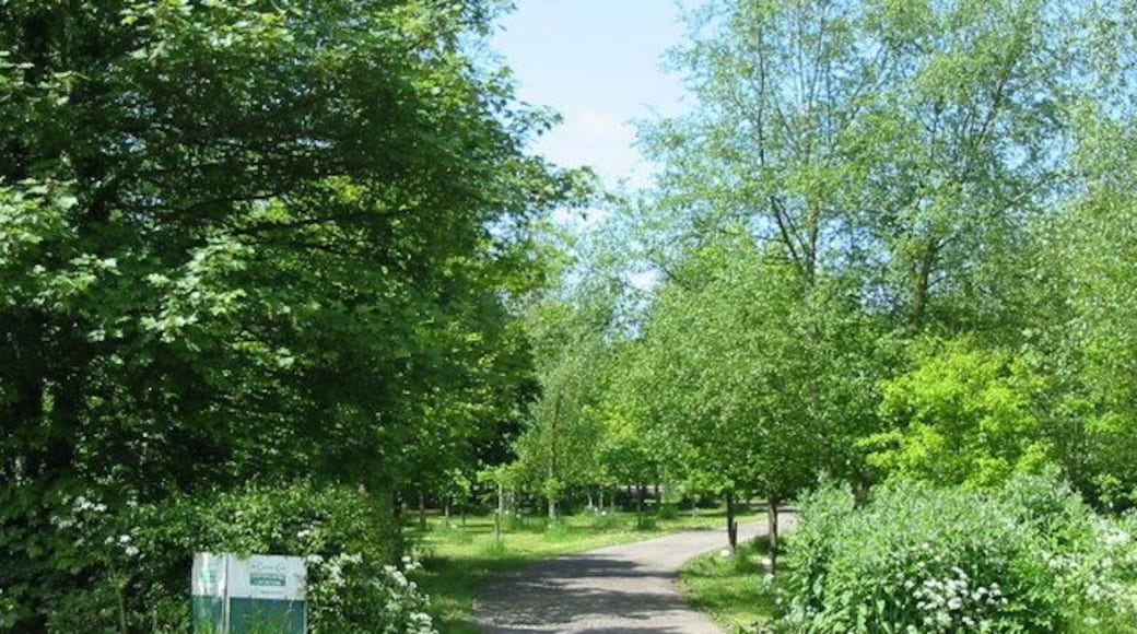 Memorial Wood near Hollington. This wood has been created through the dedication of trees in memory of loved ones. Trees may also be dedicated for other reasons such as births and celebrations.