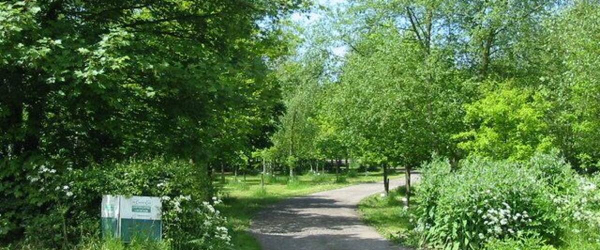 Memorial Wood near Hollington. This wood has been created through the dedication of trees in memory of loved ones. Trees may also be dedicated for other reasons such as births and celebrations.