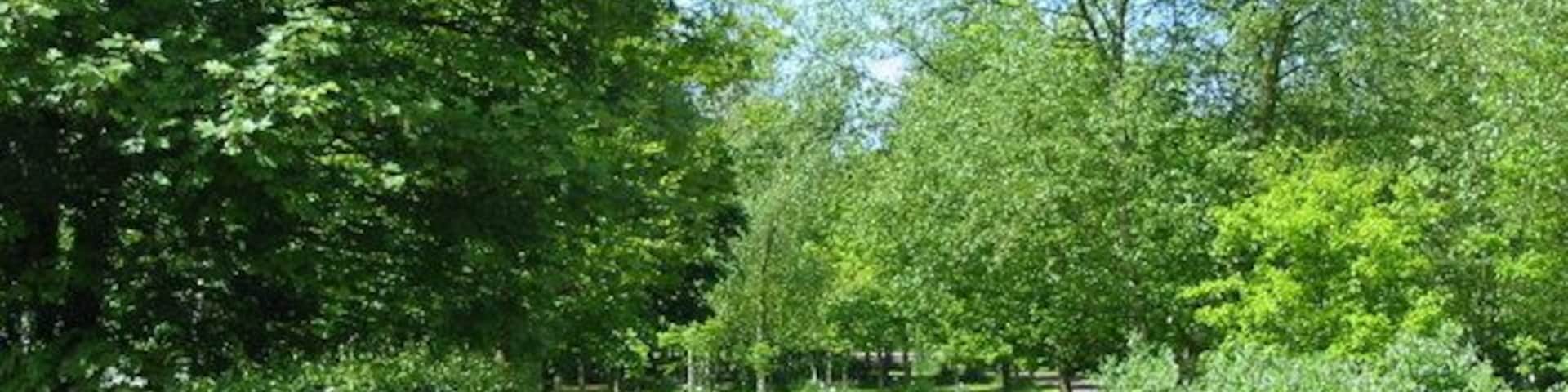 Memorial Wood near Hollington. This wood has been created through the dedication of trees in memory of loved ones. Trees may also be dedicated for other reasons such as births and celebrations.