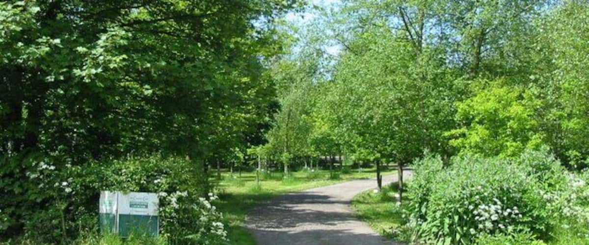 A gravel path flanked by lush green trees and bushes.